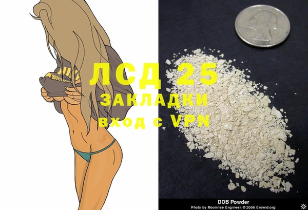 ешки Зерноград
