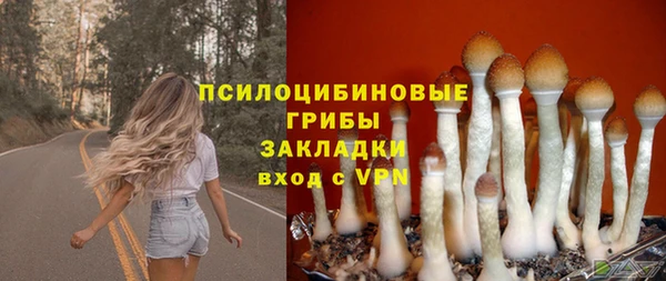 ешки Зерноград