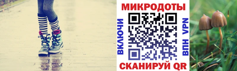 Галлюциногенные грибы GOLDEN TEACHER  где найти наркотики  Уржум 